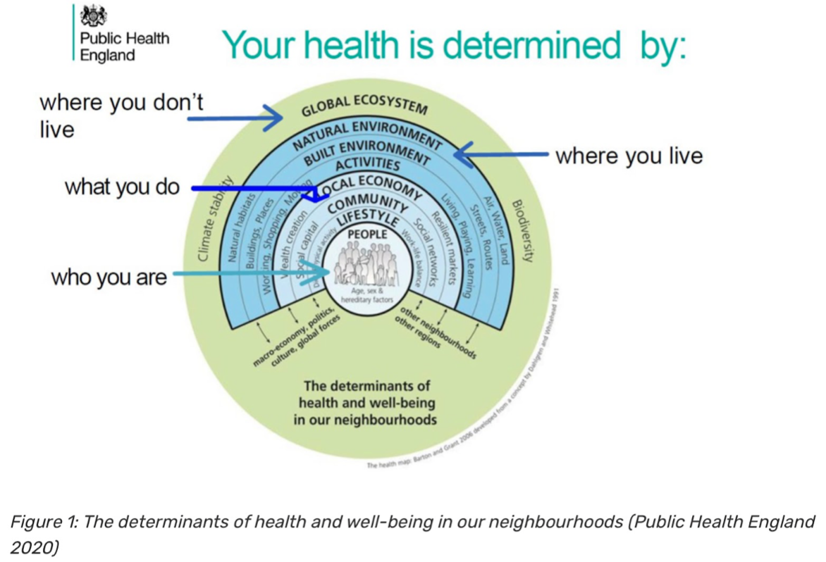 heath risk factors